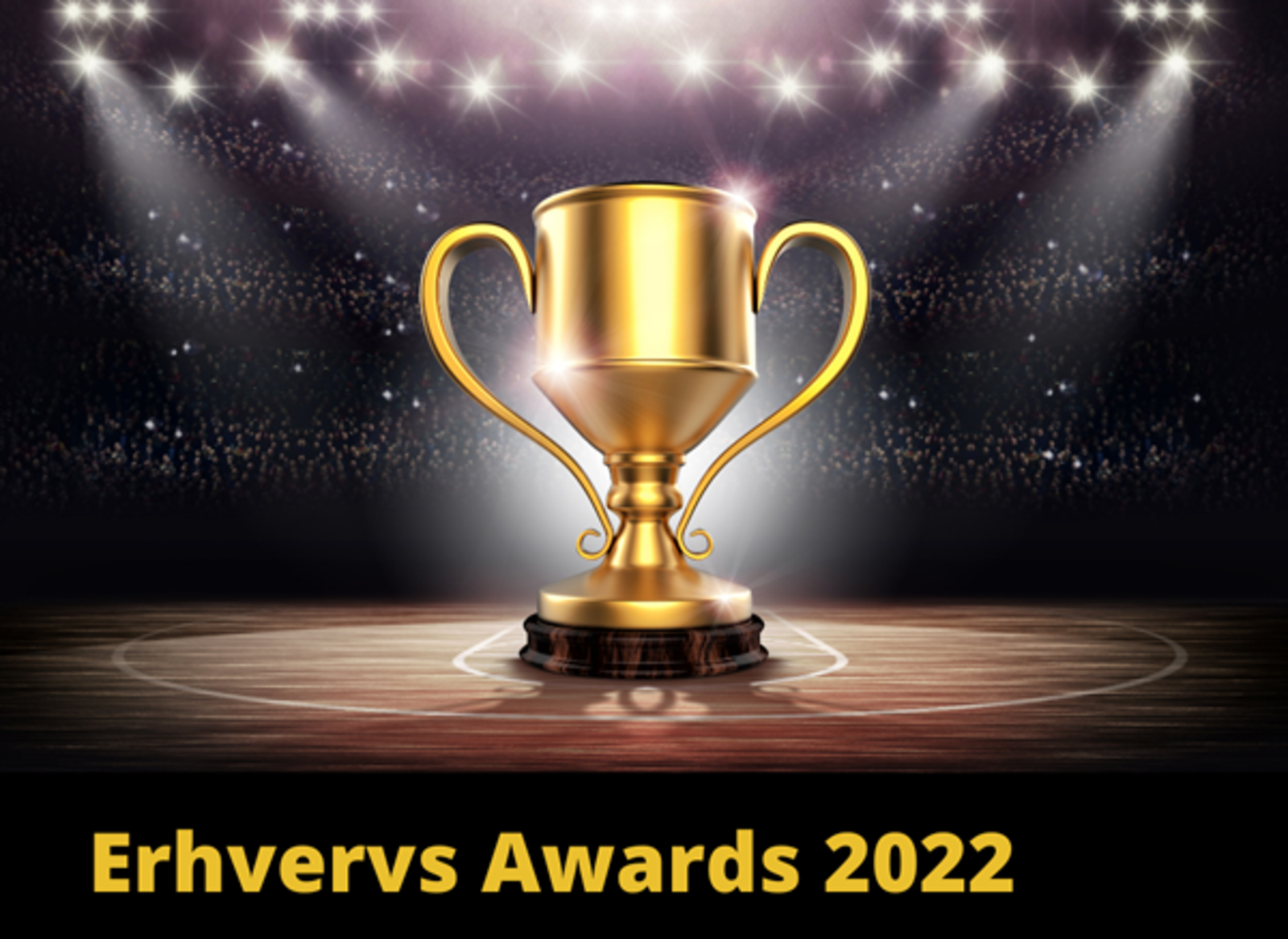 Erhvervs Awards 2022 