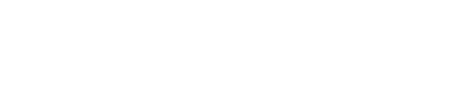 FlowCon logo white